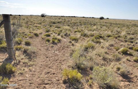 Tiny photo for 000 Clyde Road, Snowflake, AZ 85937 (MLS # 256282)