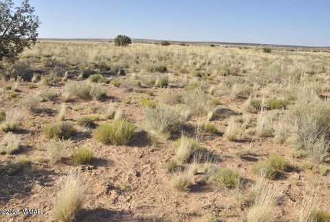Tiny photo for 000 Clyde Road, Snowflake, AZ 85937 (MLS # 256282)