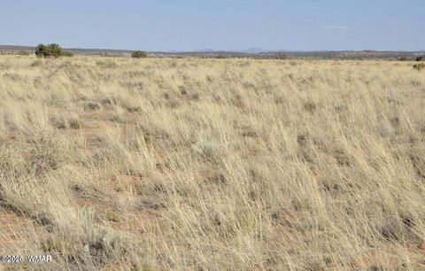 Tiny photo for 000 Clyde Road, Snowflake, AZ 85937 (MLS # 256282)