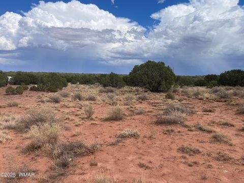 Photo of 4317 Indian Bend Road, Snowflake, AZ 85937 (MLS # 248289)