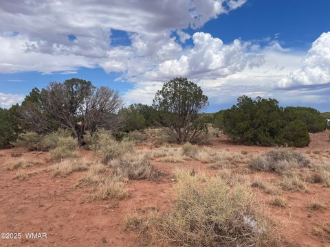 Tiny photo for 4317 Indian Bend Road, Snowflake, AZ 85937 (MLS # 248289)