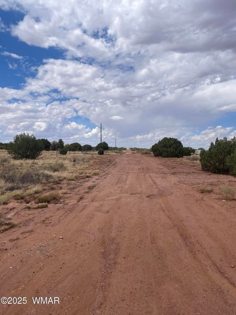 Tiny photo for 4317 Indian Bend Road, Snowflake, AZ 85937 (MLS # 248289)