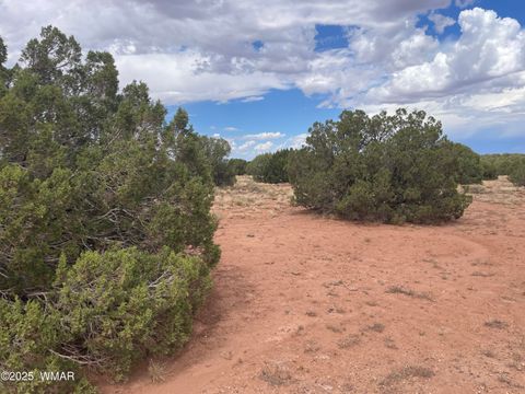 Tiny photo for 4317 Indian Bend Road, Snowflake, AZ 85937 (MLS # 248289)