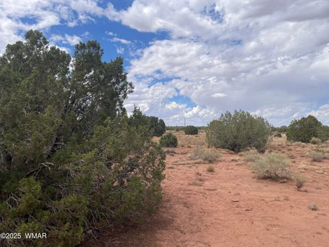 Tiny photo for 4317 Indian Bend Road, Snowflake, AZ 85937 (MLS # 248289)