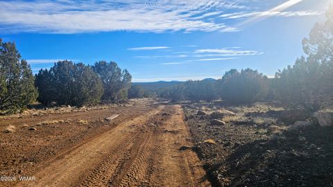 Tiny photo for TBD Coral Road, Show Low, AZ 85901 (MLS # 259216)