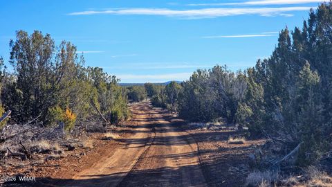 Tiny photo for TBD Coral Road, Show Low, AZ 85901 (MLS # 259216)