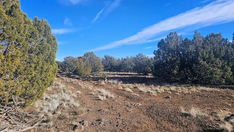 Tiny photo for TBD Coral Road, Show Low, AZ 85901 (MLS # 259216)