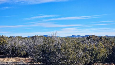 Tiny photo for TBD Coral Road, Show Low, AZ 85901 (MLS # 259216)