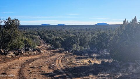 Tiny photo for TBD Coral Road, Show Low, AZ 85901 (MLS # 259216)