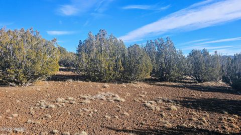 Tiny photo for TBD Coral Road, Show Low, AZ 85901 (MLS # 259216)