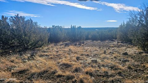 Tiny photo for TBD Coral Road, Show Low, AZ 85901 (MLS # 259216)