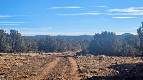 Tiny photo for TBD Coral Road, Show Low, AZ 85901 (MLS # 259216)