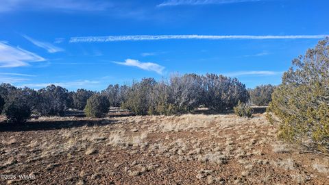 Tiny photo for TBD Coral Road, Show Low, AZ 85901 (MLS # 259216)