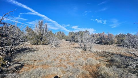 Tiny photo for TBD Coral Road, Show Low, AZ 85901 (MLS # 259216)