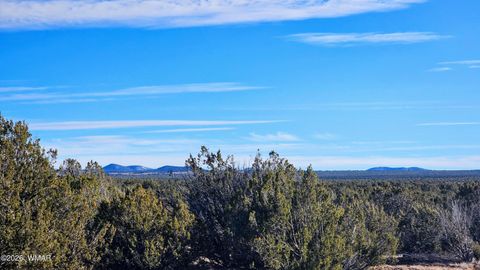 Tiny photo for TBD Coral Road, Show Low, AZ 85901 (MLS # 259216)