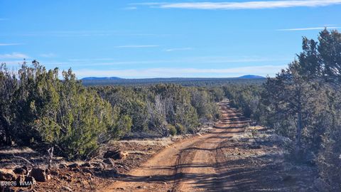 Photo of TBD Coral Road, Show Low, AZ 85901 (MLS # 259216)