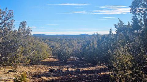 Tiny photo for TBD Coral Road, Show Low, AZ 85901 (MLS # 259216)