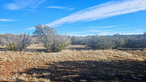Tiny photo for TBD Coral Road, Show Low, AZ 85901 (MLS # 259216)
