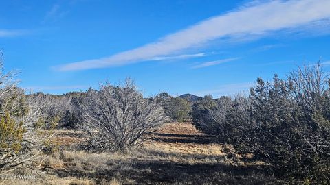 Tiny photo for TBD Coral Road, Show Low, AZ 85901 (MLS # 259216)