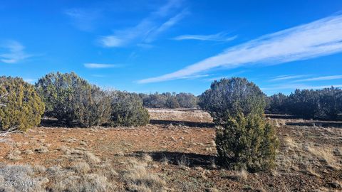 Tiny photo for TBD Coral Road, Show Low, AZ 85901 (MLS # 259216)