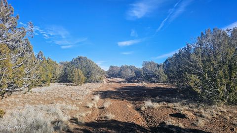 Tiny photo for TBD Coral Road, Show Low, AZ 85901 (MLS # 259216)