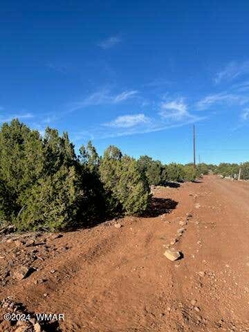 Photo of 8766 Clark Road, Show Low, AZ 85901 (MLS # 262767)
