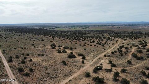 Tiny photo for TBD N Ranchview North Road, Snowflake, AZ 85937 (MLS # 258000)