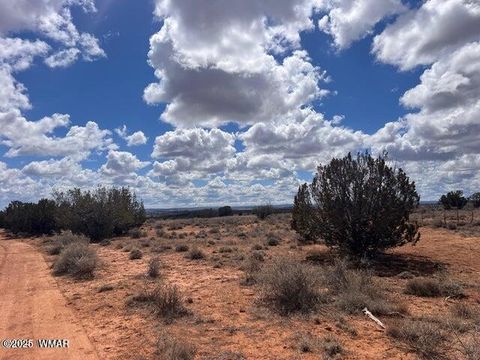 Tiny photo for TBD N Ranchview North Road, Snowflake, AZ 85937 (MLS # 258000)