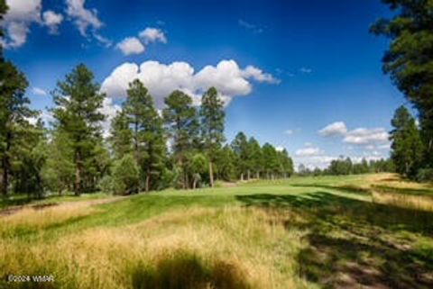Tiny photo for 1640 S Spruce Lane, Show Low, AZ 85901 (MLS # 255248)