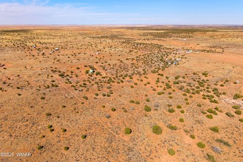 Tiny photo for 8737 Ledger Ranch Trail, Snowflake, AZ 85937 (MLS # 256710)