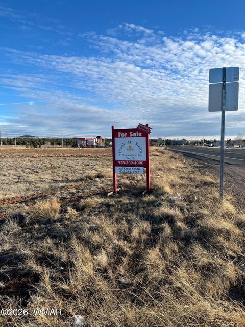 Tiny photo for 1151 N Penrod Road, Show Low, AZ 85901 (MLS # 259263)