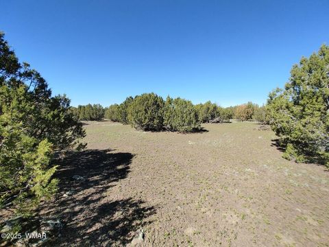 Tiny photo for 1639 Silver Lake Boulevard, Show Low, AZ 85901 (MLS # 258387)