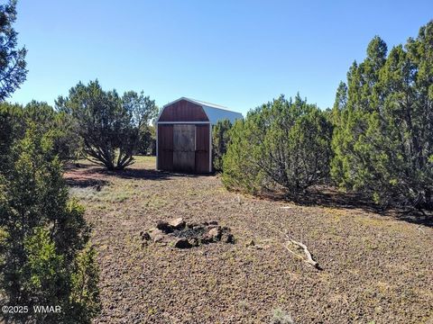 Tiny photo for 1639 Silver Lake Boulevard, Show Low, AZ 85901 (MLS # 258387)