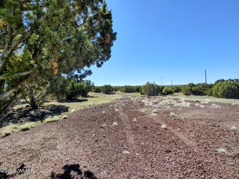 Tiny photo for 1639 Silver Lake Boulevard, Show Low, AZ 85901 (MLS # 258387)