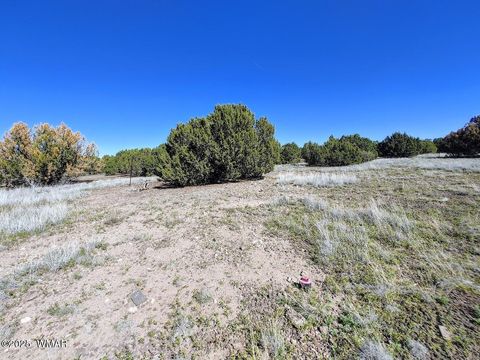 Tiny photo for 1639 Silver Lake Boulevard, Show Low, AZ 85901 (MLS # 258387)