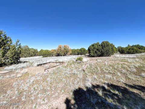 Tiny photo for 1639 Silver Lake Boulevard, Show Low, AZ 85901 (MLS # 258387)