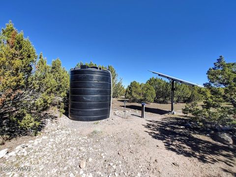 Photo of 1639 Silver Lake Boulevard, Show Low, AZ 85901 (MLS # 258387)