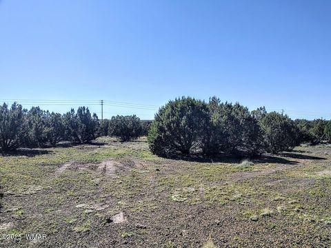 Tiny photo for 1639 Silver Lake Boulevard, Show Low, AZ 85901 (MLS # 258387)