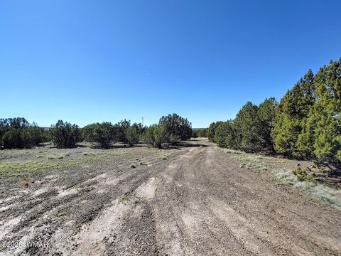 Tiny photo for 1639 Silver Lake Boulevard, Show Low, AZ 85901 (MLS # 258387)