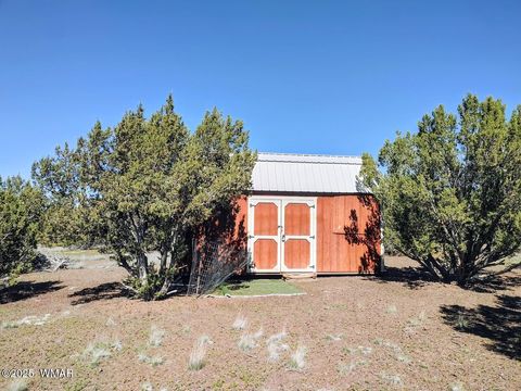 Tiny photo for 1639 Silver Lake Boulevard, Show Low, AZ 85901 (MLS # 258387)