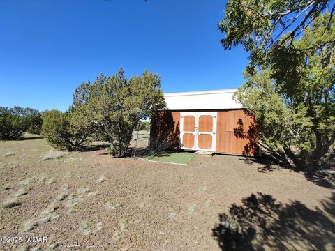 Tiny photo for 1639 Silver Lake Boulevard, Show Low, AZ 85901 (MLS # 258387)