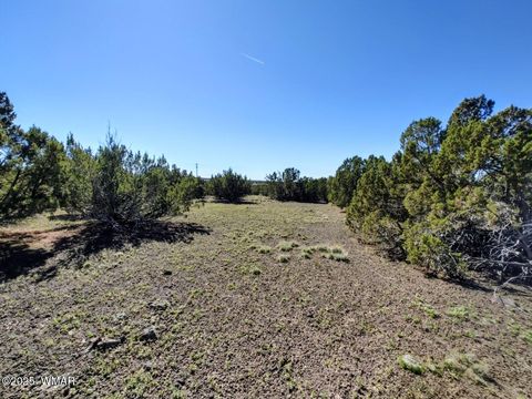 Tiny photo for 1639 Silver Lake Boulevard, Show Low, AZ 85901 (MLS # 258387)