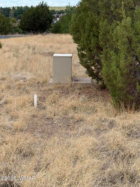 Tiny photo for 8384 Lake View Drive, Show Low, AZ 85901 (MLS # 257315)