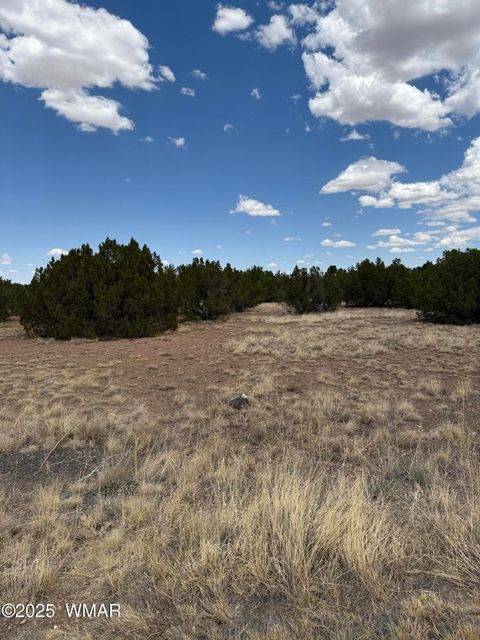 Tiny photo for 8384 Lake View Drive, Show Low, AZ 85901 (MLS # 257315)