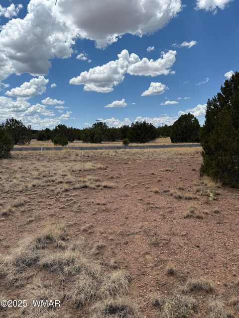 Tiny photo for 8384 Lake View Drive, Show Low, AZ 85901 (MLS # 257315)