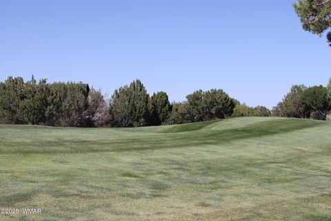 Tiny photo for 8384 Lake View Drive, Show Low, AZ 85901 (MLS # 257315)