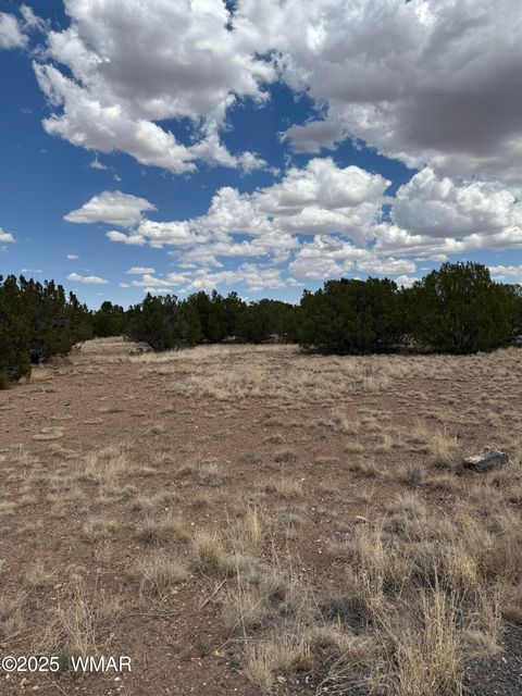 Tiny photo for 8384 Lake View Drive, Show Low, AZ 85901 (MLS # 257315)