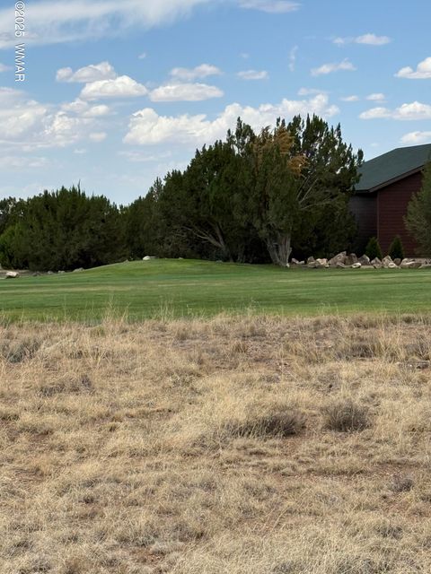 Photo of 8384 Lake View Drive, Show Low, AZ 85901 (MLS # 257315)
