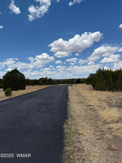 Tiny photo for 8384 Lake View Drive, Show Low, AZ 85901 (MLS # 257315)