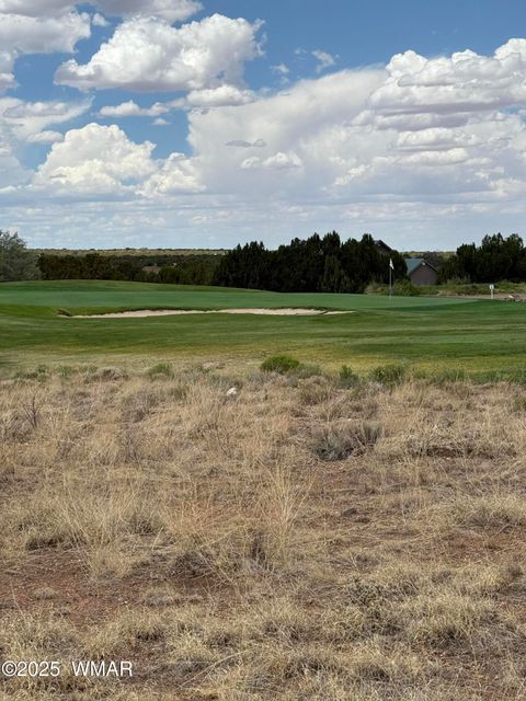 Tiny photo for 8384 Lake View Drive, Show Low, AZ 85901 (MLS # 257315)